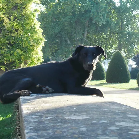 B&B Chateau Des Noces 3*