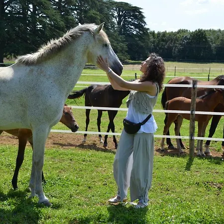 Chateau Des Noces B&B 3*