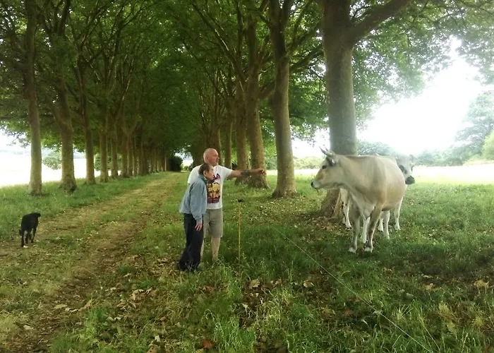 Chateau Des Noces 3*