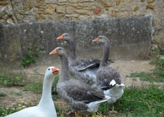 Chateau Des Noces 3* Bazoges-en-Pareds