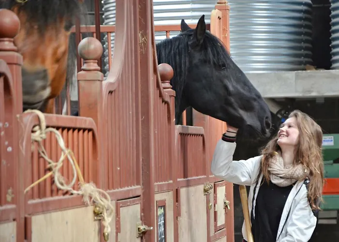 Couette-café Chateau Des Noces