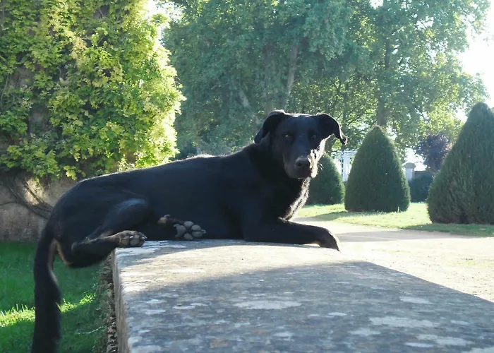 Couette-café Chateau Des Noces 3*