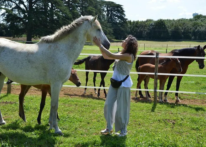 Chateau Des Noces Couette-café 3*